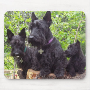 Mousepad Terrier escoceses