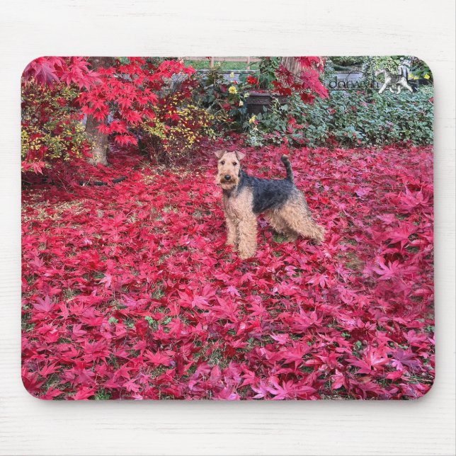 Mousepad Terrier Galês (Frente)