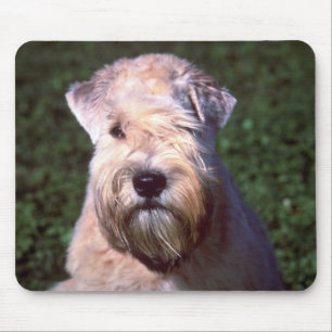 Mousepad Terrier Wheaten Macio-revestido