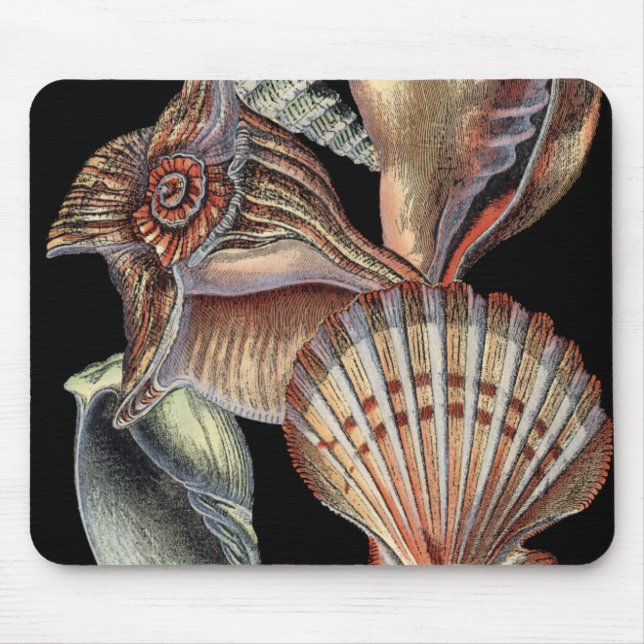Mousepad Tesouros do mar (Frente)