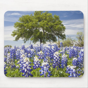 Mousepad Texas bluebonnets(lupinus texensis) e carvalho