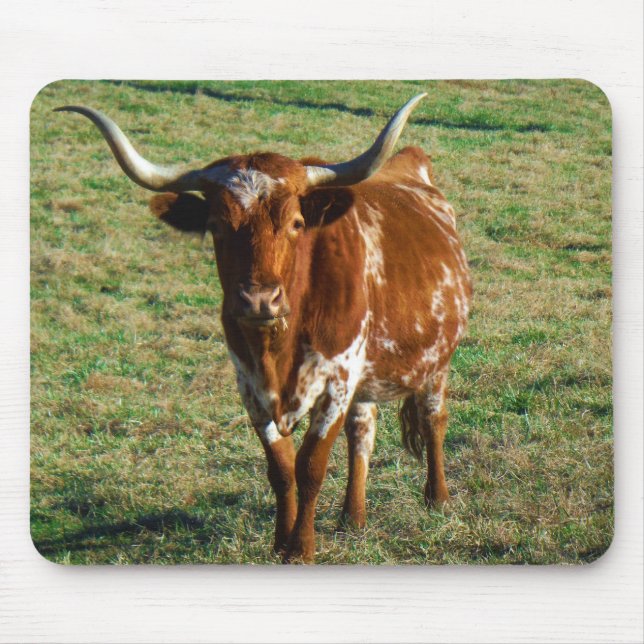 Mousepad Texas Longhorn Cattle Cattle Photo Rustic (Frente)