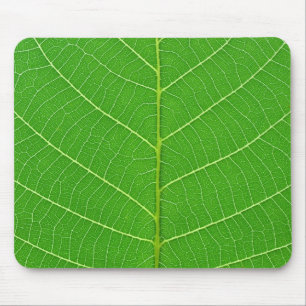 Mousepad textura verde da folha da árvore da natureza