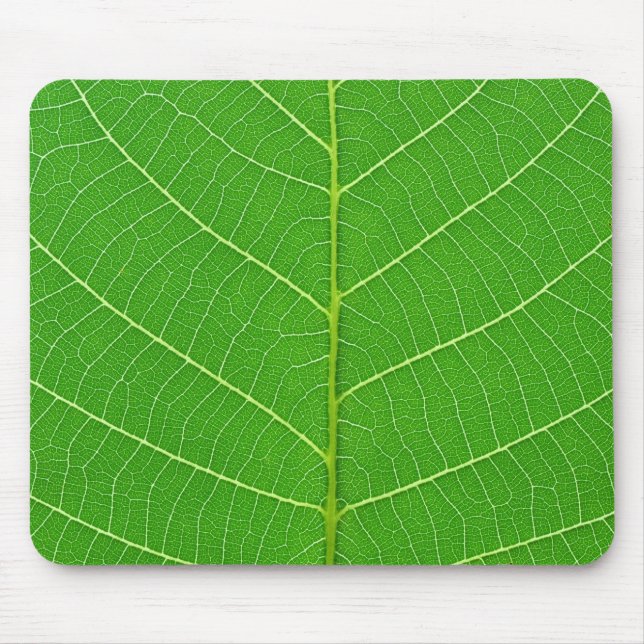 Mousepad textura verde da folha da árvore da natureza (Frente)