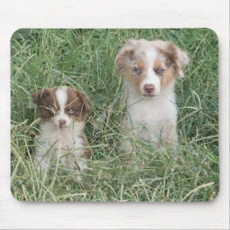 Mousepad The Cuteness Never Stops