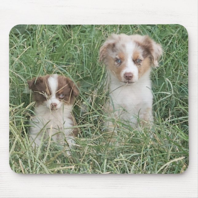 Mousepad The Cuteness Never Stops (Frente)