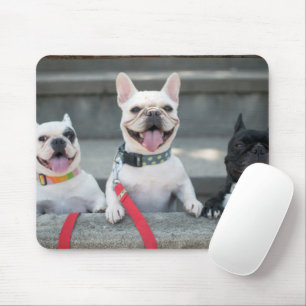 Mousepad Three French Bulldogs