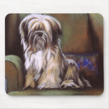 Tibetano Terrier