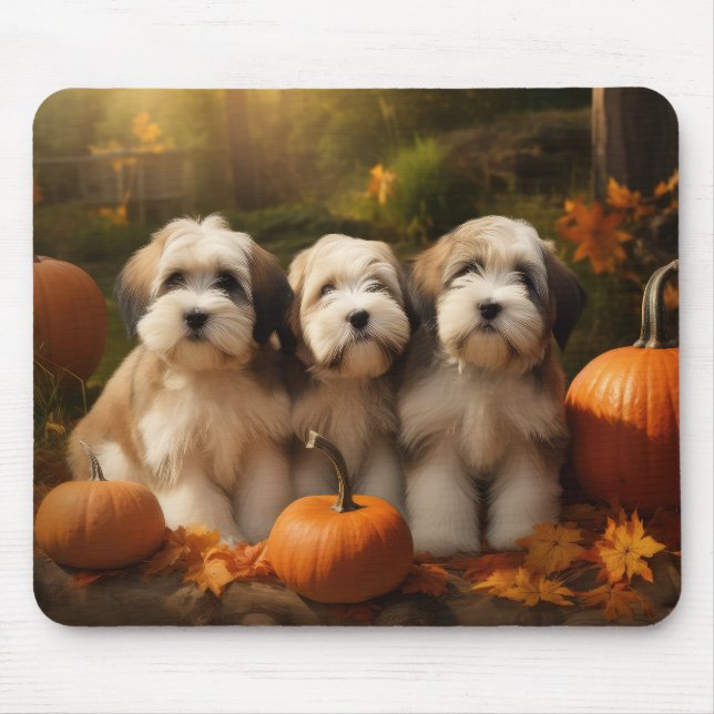 Mousepad Tibetano Terrier Puppy Autumn Delight Pumpkin (Frente)