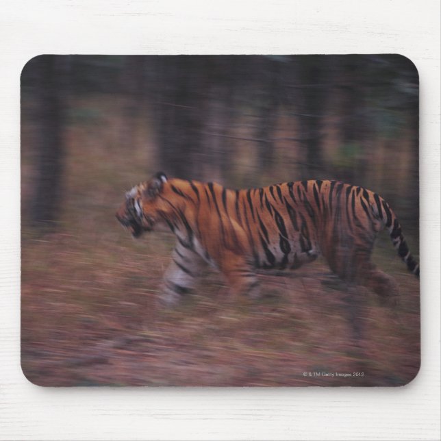 Mousepad Tiger caminhando pela floresta (Frente)