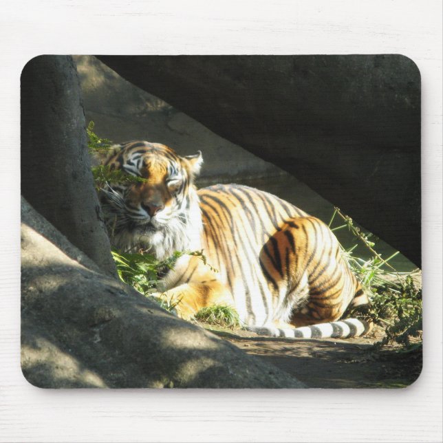 Mousepad Tiger Catnap (Frente)