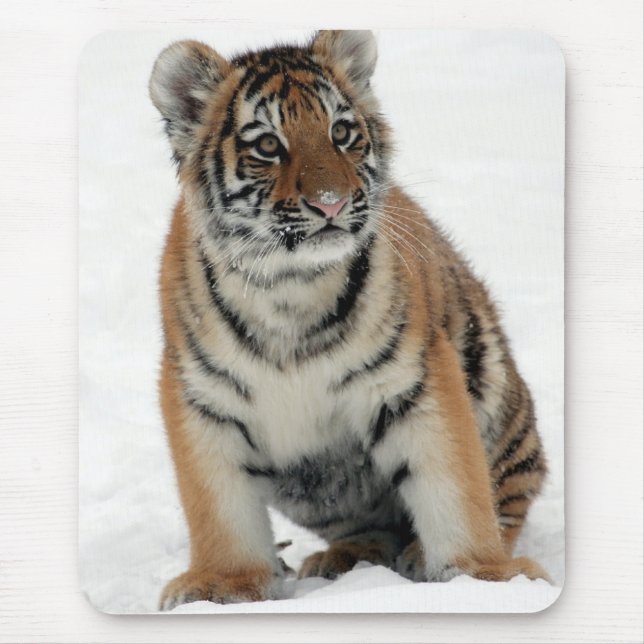 Mousepad Tiger Cub in the Snow Photo (Frente)
