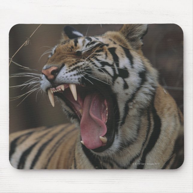 Mousepad Tiger Cub Yawning (Frente)