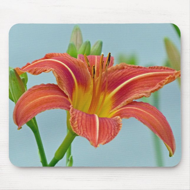Mousepad Tiger Daylily (Frente)