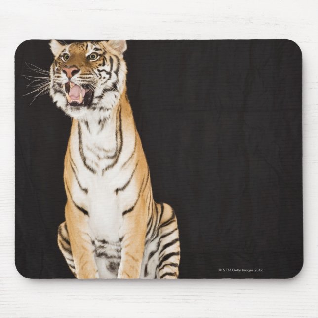 Mousepad Tigre (Frente)