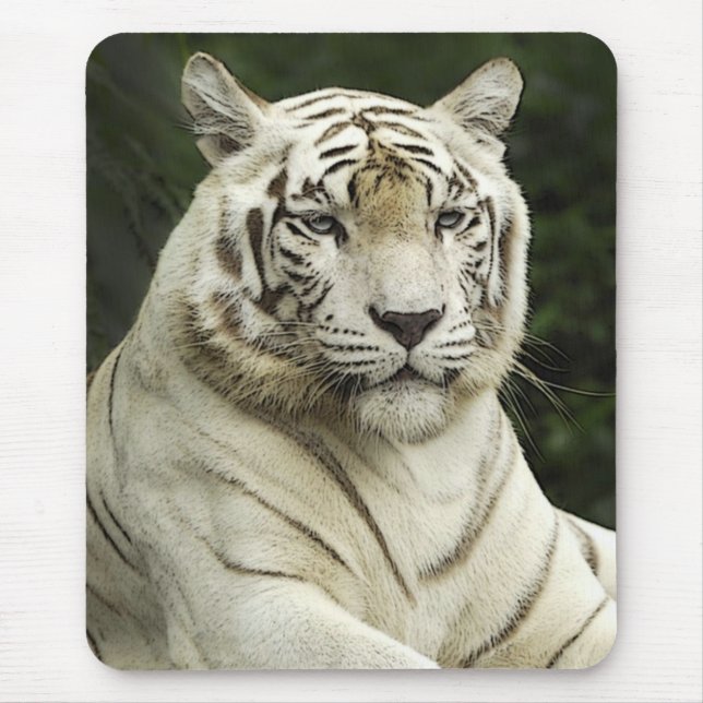 Mousepad tigre (Frente)