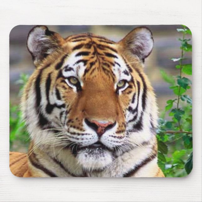 Mousepad Tigre (Frente)