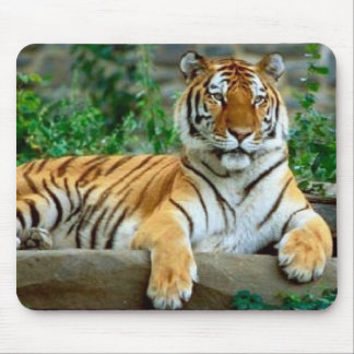 Mousepad Tigre