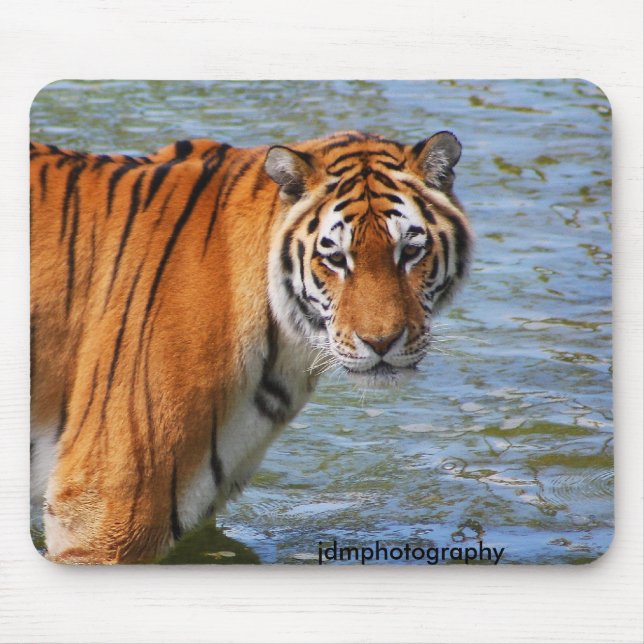Mousepad Tigre (Frente)