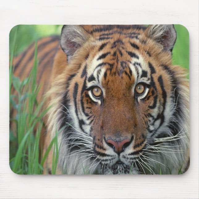Mousepad Tigre (Frente)