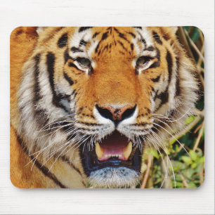 Mousepad Tigre