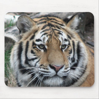 Mousepad Tigre
