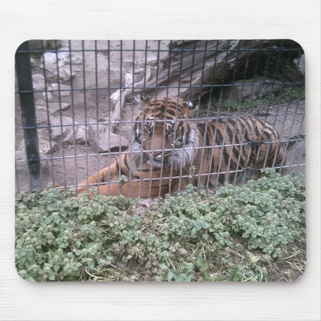 Mousepad Tigre (Frente)