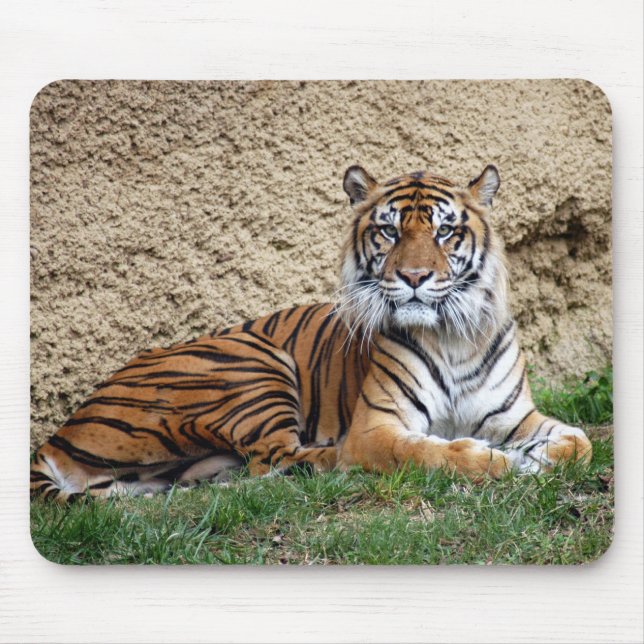 Mousepad tigre 7 do sumatran (Frente)