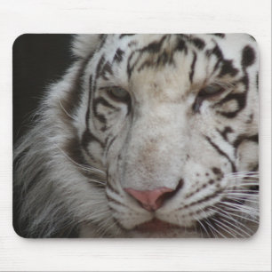 Mousepad Tigre branco
