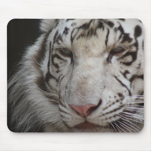 Mousepad Tigre branco (Frente)