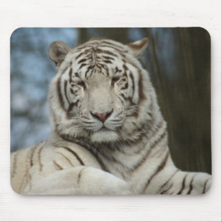 Mousepad Tigre Branco