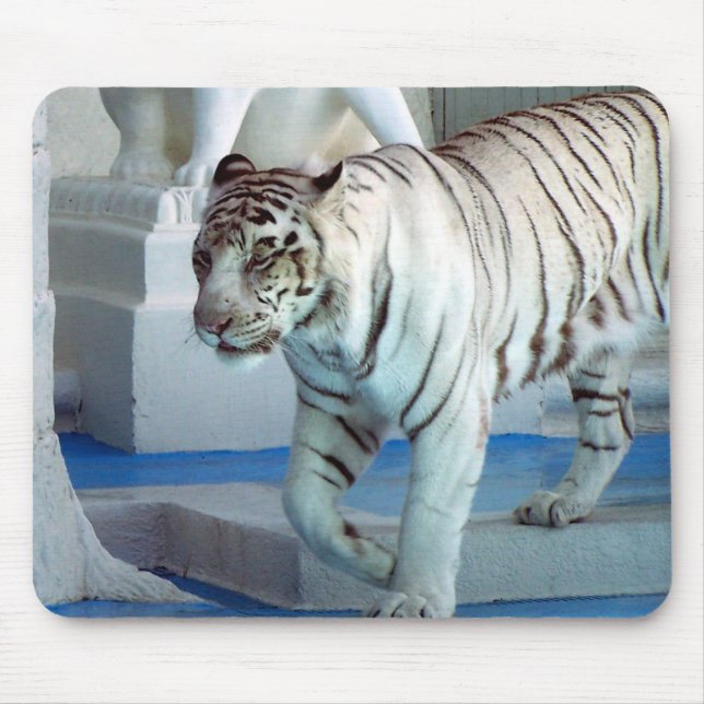 Mousepad Tigre branco (Frente)