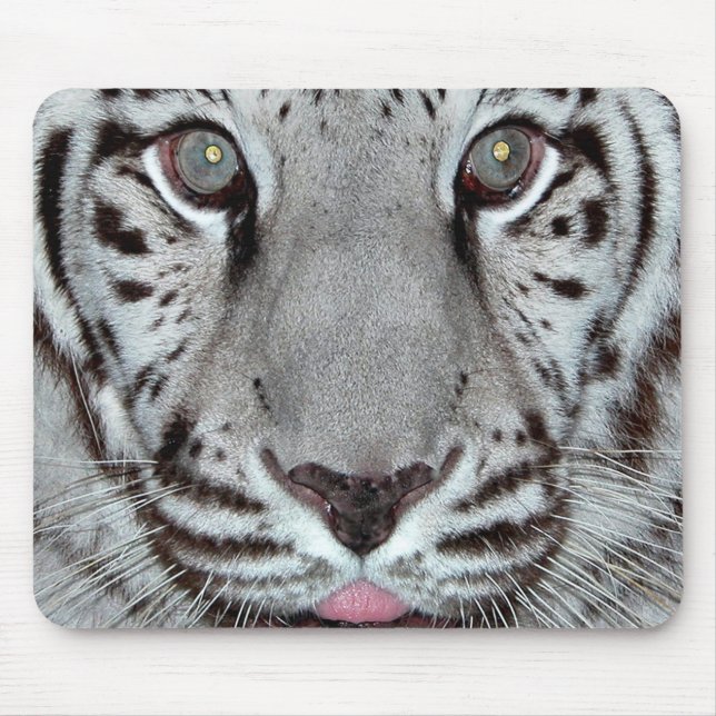 Mousepad Tigre branco (Frente)