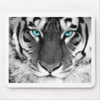 Tigre branco preto