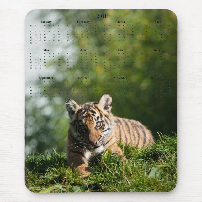 Mousepad Tigre Cub (Frente)