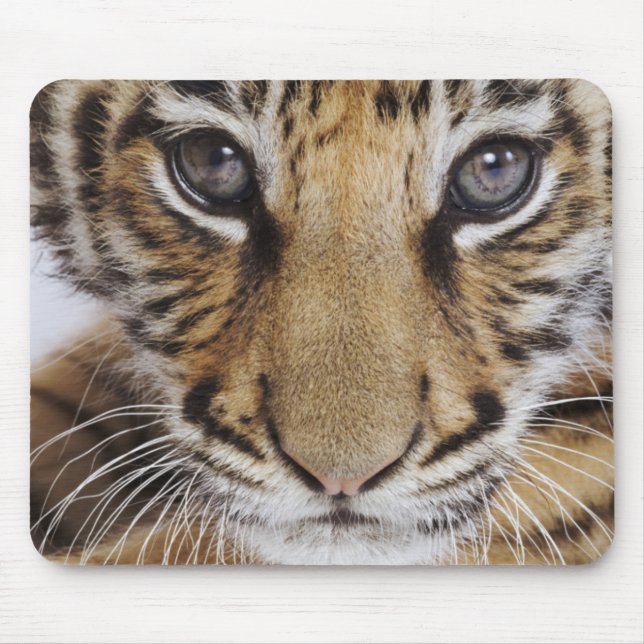 Mousepad Tigre Cub (Frente)