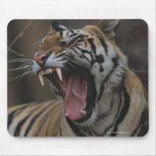 Mousepad Tigre Cub que boceja