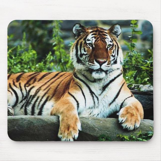 Mousepad tigre de bengal (Frente)