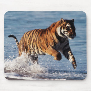 Mousepad Tigre de Bengal (Panthera Tigris)
