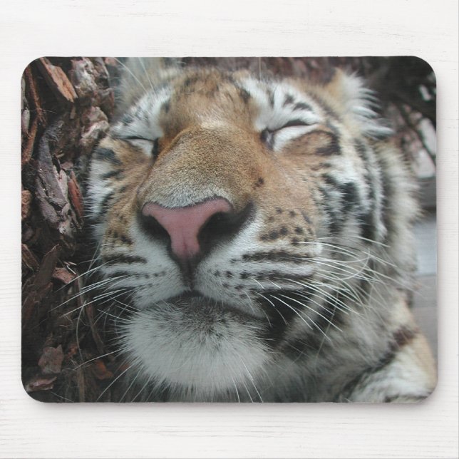 Mousepad Tigre de dormir (Frente)