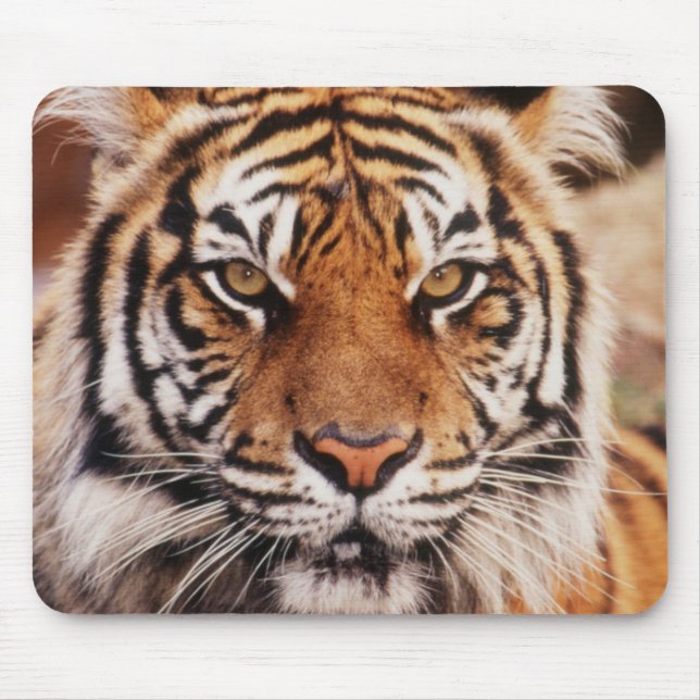 Mousepad Tigre-de-sumatra (Frente)