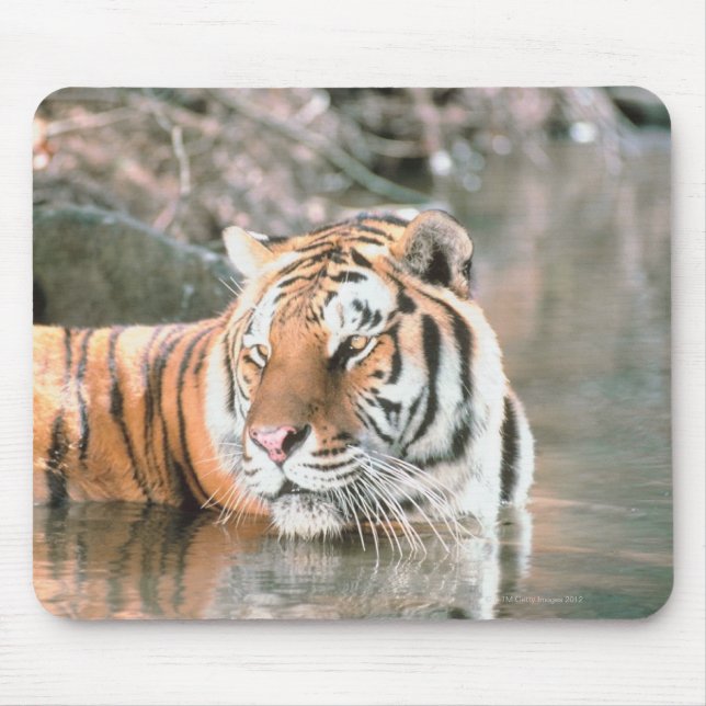 Mousepad Tigre em fluxo (Frente)