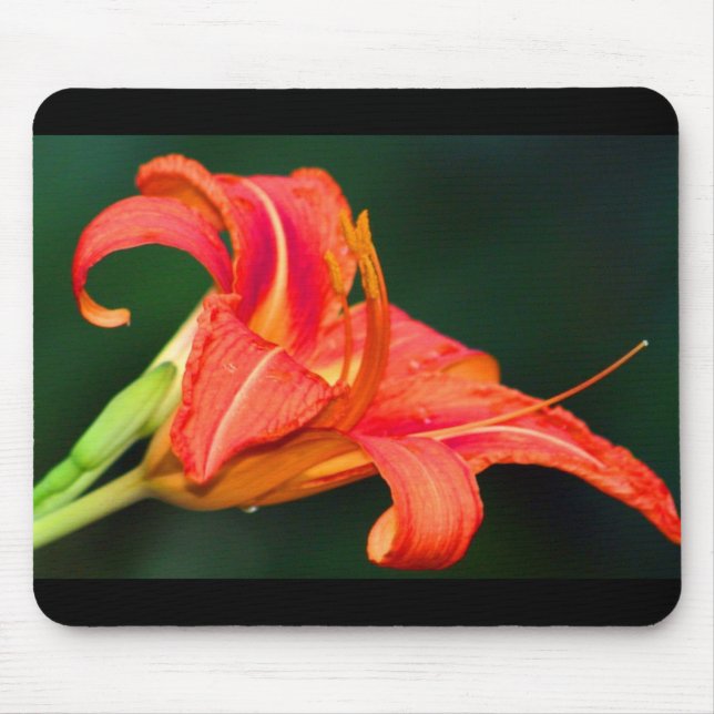 Mousepad Tigre Lilly (Frente)
