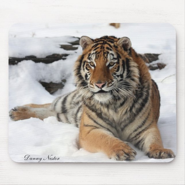 Mousepad Tigre na neve (Frente)