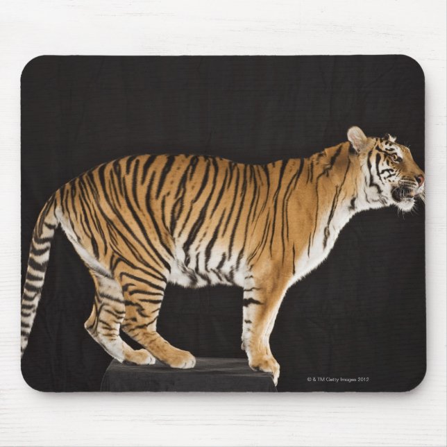 Mousepad Tigre na plataforma (Frente)