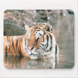 Mousepad Tigre no córrego