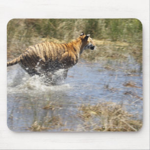 Mousepad Tigre (Panthera tigris) que funciona através da