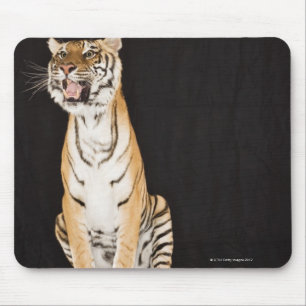Mousepad Tigre que ruje
