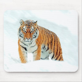 Mousepad Tigre selvagem na neve