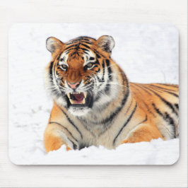 Mousepad Tigre selvagem na neve